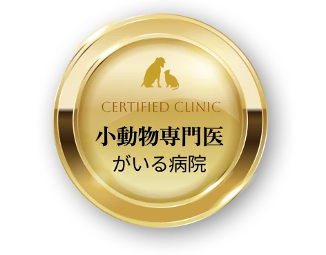 小動物専門医がいる病院（認定クリニック）・小動物外科専門医とは
