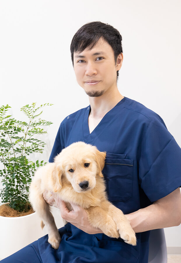ファッション 獣医 小動物整形外科 リハビリテーションと理学療法 内